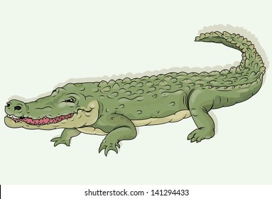 Vector drawing of a crocodile/Crocodile/ Easy to edit layers, no meshes or blends used, easy to edit file black outline file looks great too, editable on separate layer