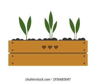 Dibujo vectorial de una caja linda con plántulas. hierba sana en una caja de madera. Ilustración vectorial. Jardinería, plantas