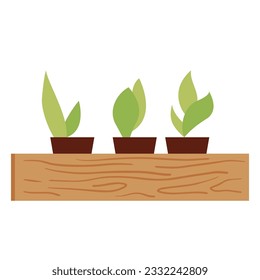 Vector drawing of a cute box with seedlings. Plants in a wooden box. Vector illustration of gardening isolated on white background