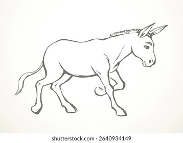 Vector drawing. Cute old mule
