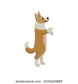 vetor desenho bonitinho cachorrinho, cão pequeno, corgi galês no fundo branco, desenhado à mão ilustração