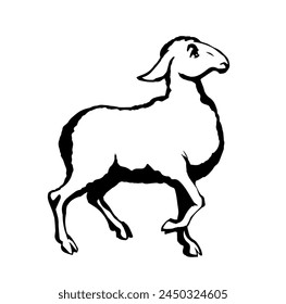 Vector drawing. Cute small sheep
