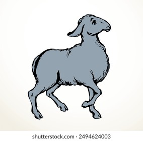 Vector drawing. Cute small sheep