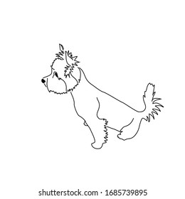 Vector drawing of a cute yorkshire terrier. Seated dog pose