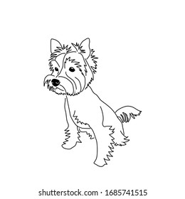 Vector drawing of a cute yorkshire terrier. Seated dog pose