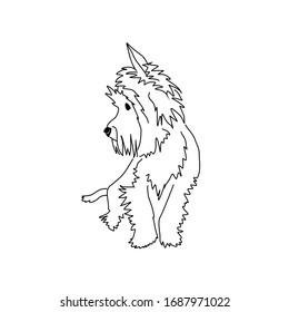Vector drawing of a cute yorkshire terrier. Seated dog pose