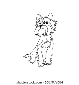 Vector drawing of a cute yorkshire terrier. Seated dog pose