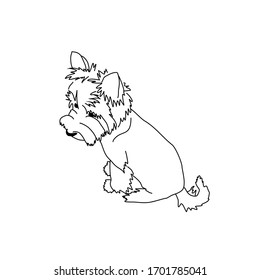 Vector drawing of a cute yorkshire terrier. Seated dog pose