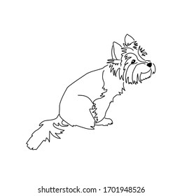 Dibujo vectorial de un lindo yorkshire terrier. Posada de perro sentada