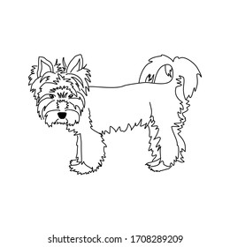 Dibujo vectorial de un lindo yorkshire terrier. Dosis de perro