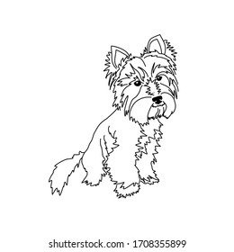 Vector drawing of a cute yorkshire terrier. Seated dog pose