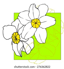 Vector drawing of a daffodil on green background for your design