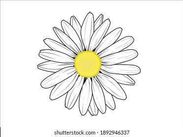 ヒナギク花 のイラスト素材 画像 ベクター画像 Shutterstock