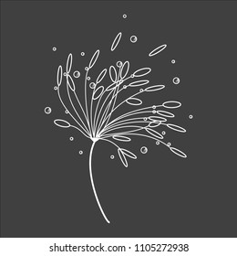 Vector drawing dandelion. Dandelion fluff contour white color