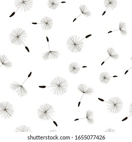  Vector drawing, dandelion on a white isolated background, seamless pattern. Outline drawing, lines.