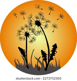 Vector drawing of dandelions at sunset
