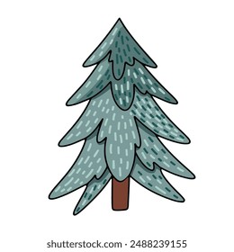 Vector drawing of a decorative blue spruce. Cute baby illustration isolated on white background