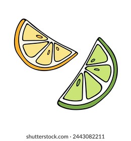 Vector drawing. Decorative image. Lemon and lime slices, with seeds