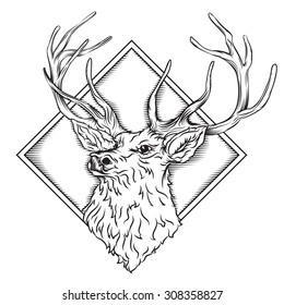 Vector drawing of a / Deer Stag Head / Easy to edit layers and groups, no effects, meshes, gradients used. 
