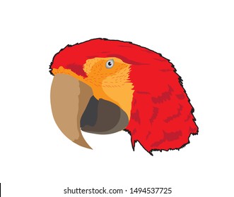vector drawing design parrot macaw head.