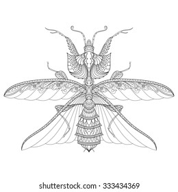 Vector Drawing of Devil's Flower Mantis Or Idolomantis Diabolica. King Mantis Isolated On Transparent Background. Zentangle Style
