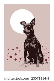 Vector drawing of Doberman posing with light background
