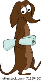 
Vector drawing dog dachshund keeps paper