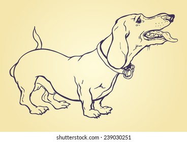 Vector drawing of dog dachshund stylized as engraving.