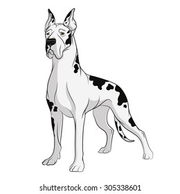 Vector drawing of dog. Isolated objects on a white background. 