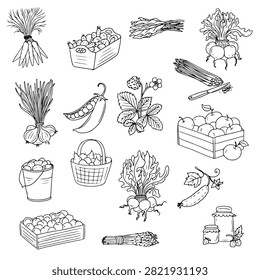 vector drawing doodle garden elements isolated at white background, hand drawn illustration