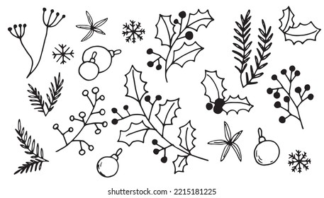 vector drawing in doodle style. set of christmas plants. holly, spruce branches, winter berries
