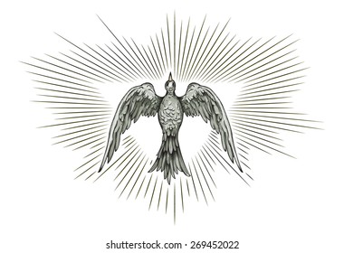 Vector drawing of a Dove in flight / Dove / Easy to edit layers and groups, black and white outline file looks great. Easy to isolate elements, no meshes blends gradients or effects used.