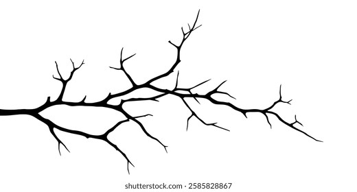 Vector drawing of a dry twig isolated on a white background, branch outline without leaves