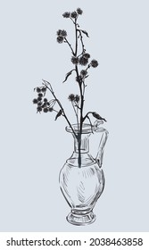 Vector drawing of dry wildflower in vintage glass vase
