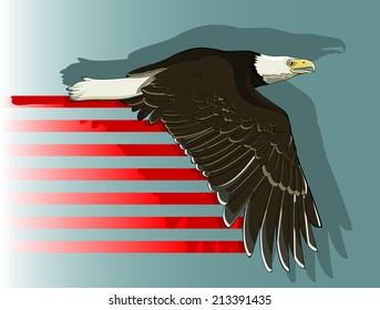 Vector drawing of an eagle flying/Bald eagle flying/ Easy to edit groups, no weird effects used, gradients used on background only