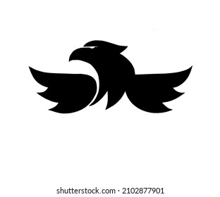 vector drawing, eagle logo illustration