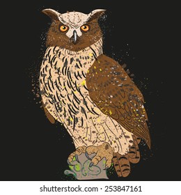 vector drawing eared owl on a black background
