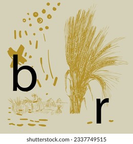 Dibujo vectorial de orejas y detalles de diseño, una hoja de orejas, una mujer que recoge trigo