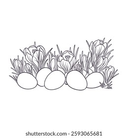 vector drawing eggs and flowers of crocus, Easter spring monochrome line composition at white background, hand drawn illustration