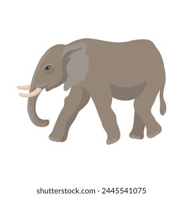 vector drawing elephant, cartoon animal isolated at white background, hand drawn illustration