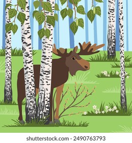 vector drawing elk in birch grove, hand drawn animal moose at green forest with trees and flowers background , cartoon style character