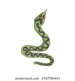 vector drawing European adder snake, viper, isolated at white background, hand drawn illustration