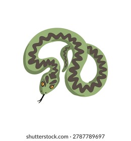 vector drawing European adder snake, viper, isolated at white background, hand drawn illustration