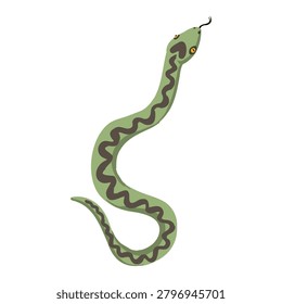 vector drawing European adder snake, viper, isolated at white background, hand drawn illustration