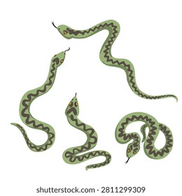 vector drawing European adder snake, viper, isolated at white background, hand drawn illustration