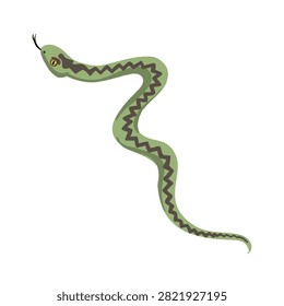vector drawing European adder snake, viper, isolated at white background, hand drawn illustration