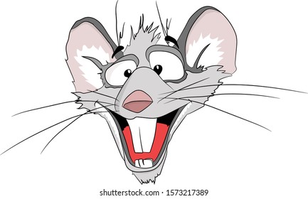 
Vector drawing, face of a crazy rat on an isolated white background