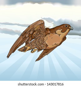 Vector drawing of a falcon/Falcon/Realistic vector drawing based on actual falcon, easy to edit layers and groups, falcon is a layer and a group easy to separate from  background that contains meshes