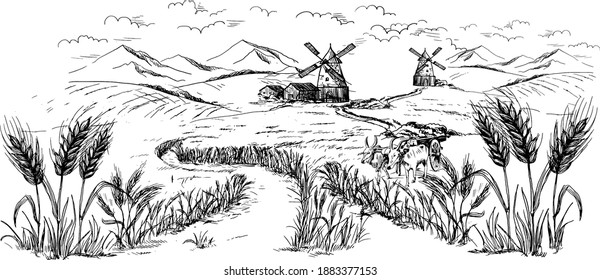 Vector Drawing Farmer   Farming and bullock  tractor  Tuscany Landscape  rural field and ripe wheat background mill   village  clouds  old Barn  house  trees  plant  Vector