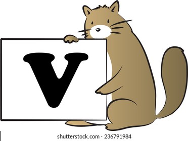 vector drawing fat cat holding a card with Uppercase letter V